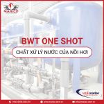 BWT-ONE-SHOT