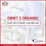 OBWT-3