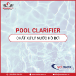 POOL CLARIFIER