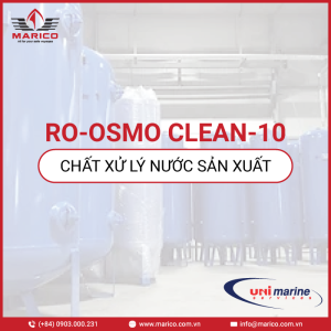 RO-OSMO CLEAN-10
