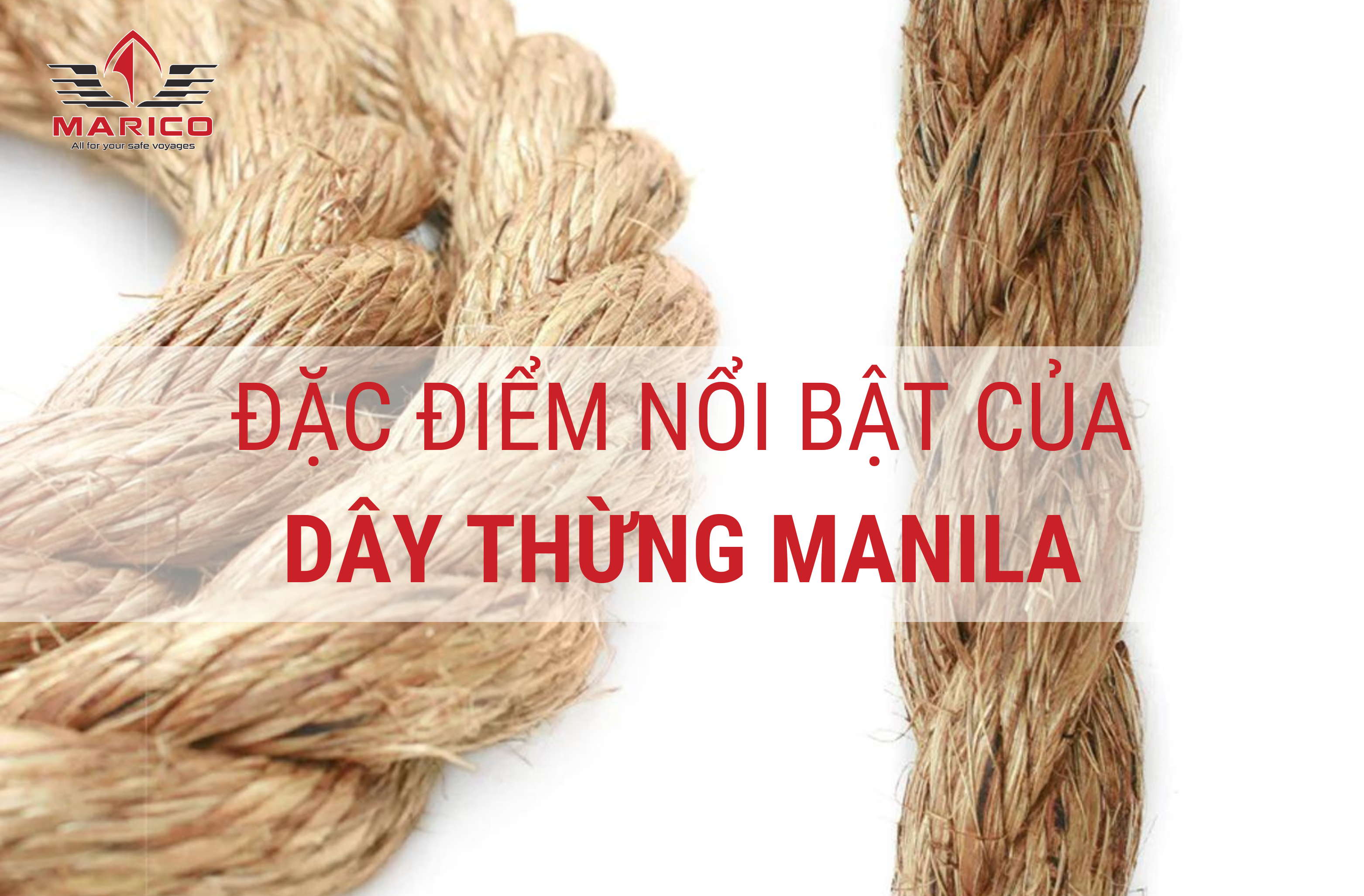 Dac diem noi bat cua day thung Manila